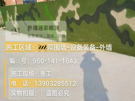 山南 迷彩漆喷涂价格（按平方米计费）